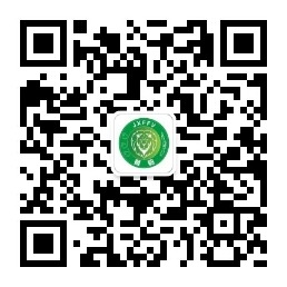 e918098cc2204d049216eb127b056e68.